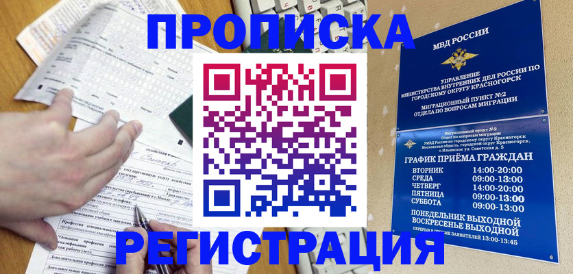 купить прописку в Коле